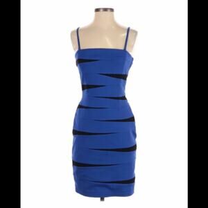 Inc International Concepts bandage bodycon sheath tiger party dress, size 4